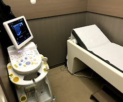 Liv Hospital Ulus