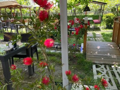 Sapanca Anadolu Sofrası