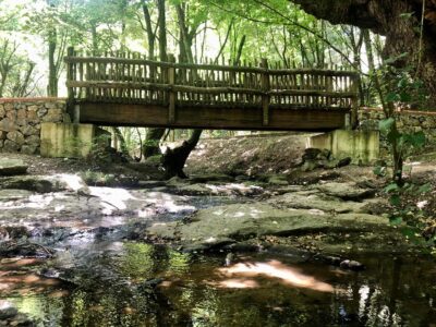Polonezköy - Polonezcity Doğa ve Yaşam Alanı