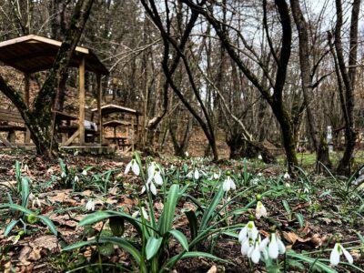 Polonezköy - Polonezcity Doğa ve Yaşam Alanı