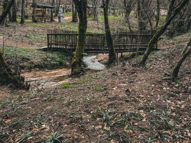 Polonezköy - Polonezcity Doğa ve Yaşam Alanı