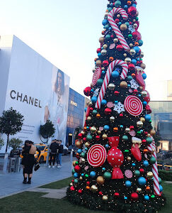 Chanel İstanye