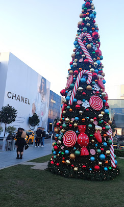 Chanel İstanye