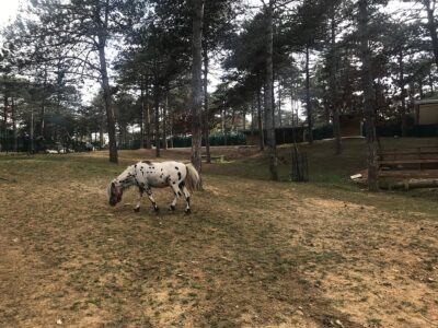 Park Of İstanbul