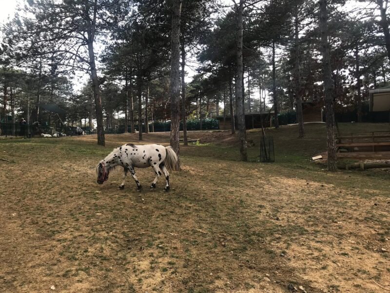 Park Of İstanbul