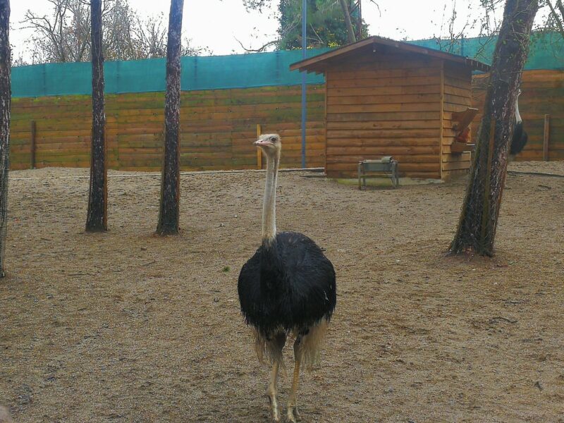 Park Of İstanbul