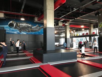 Flyzone Turkey