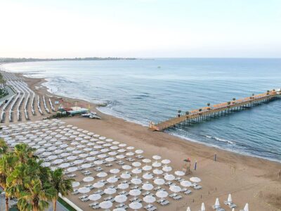 Arum Barut