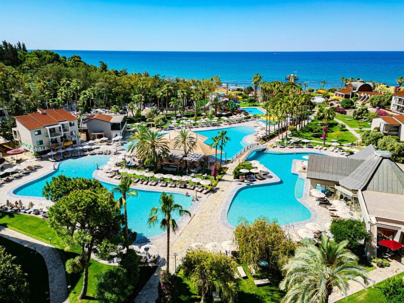 Arum Barut