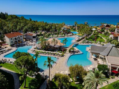 Arum Barut