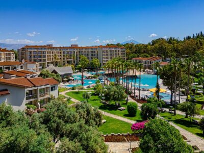 Arum Barut