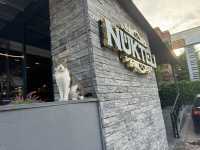 Nükteli
