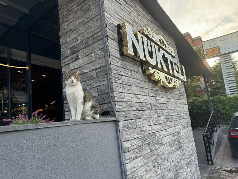 Nükteli