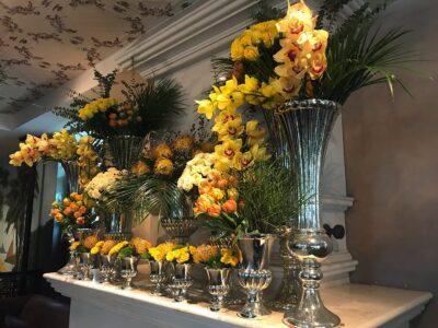 Louise Brasserie